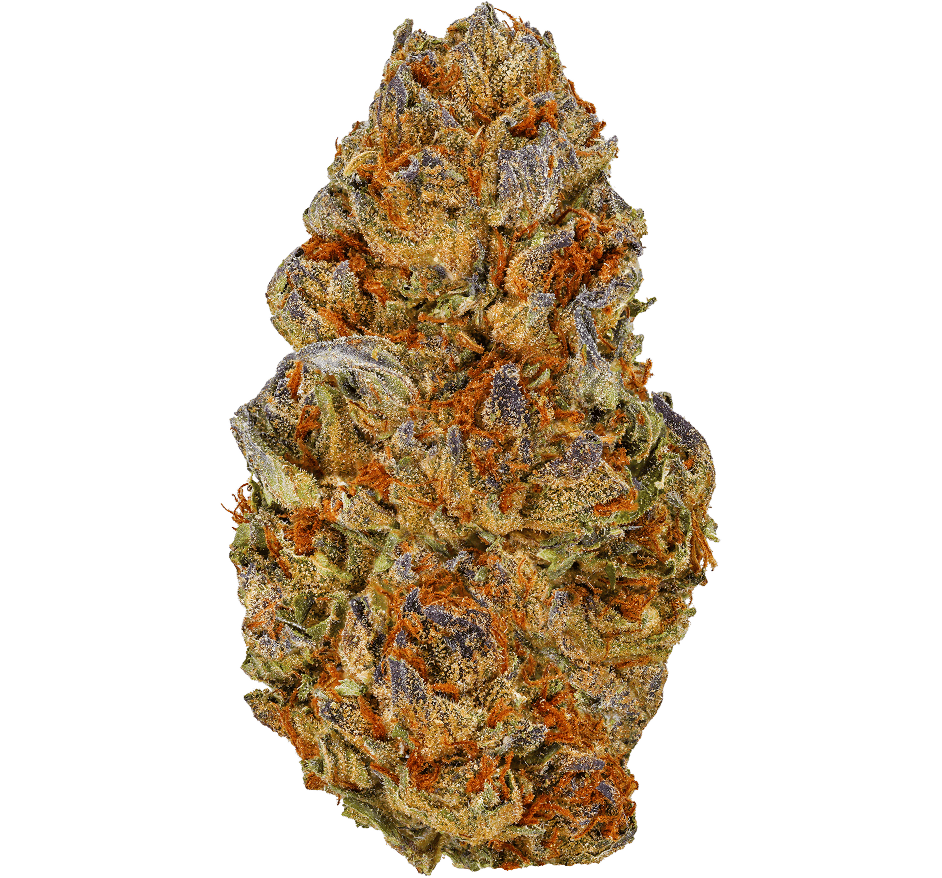Gelato 41 Strain