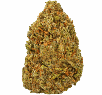 Gelato 41 Strain