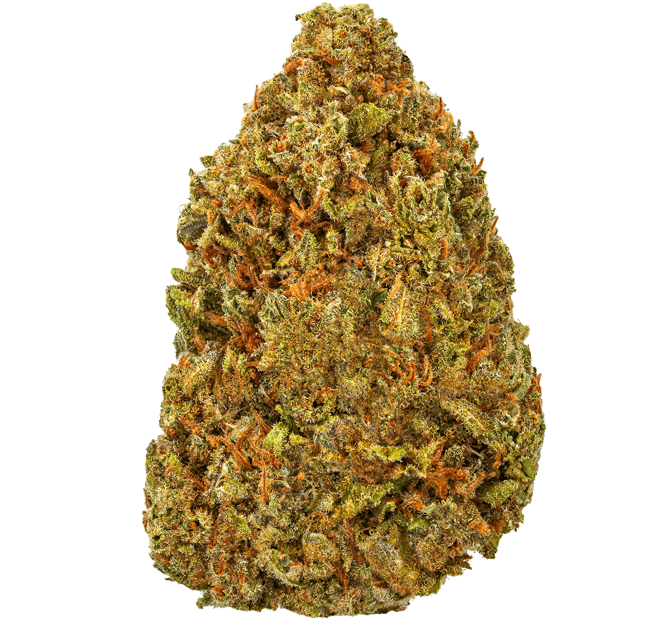 Gelato-41-Strain (7) Gelato 41 Strain