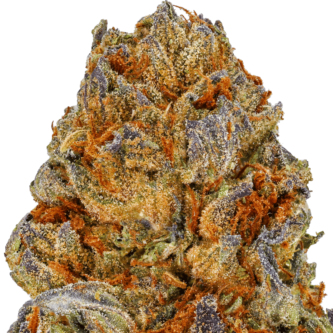 Gelato 41 Strain