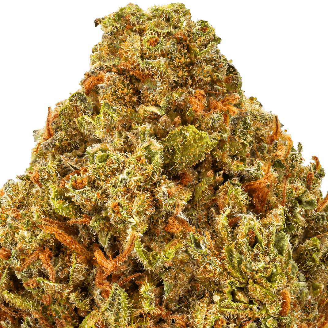 Gelato-41-Strain-macro (5) Gelato 41 Strain