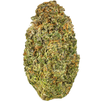 Gelato Fuel Strain