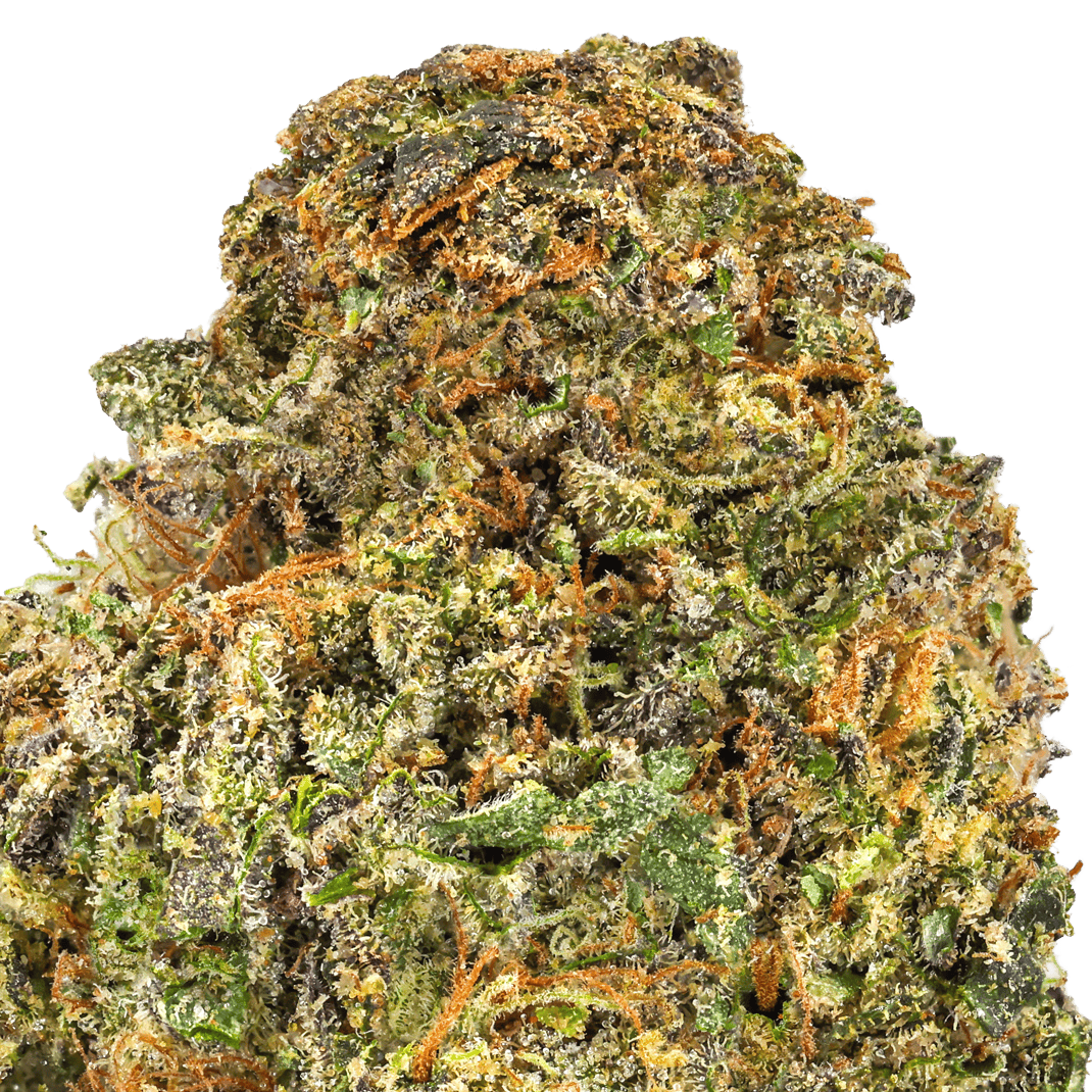 Gelato Fuel Strain