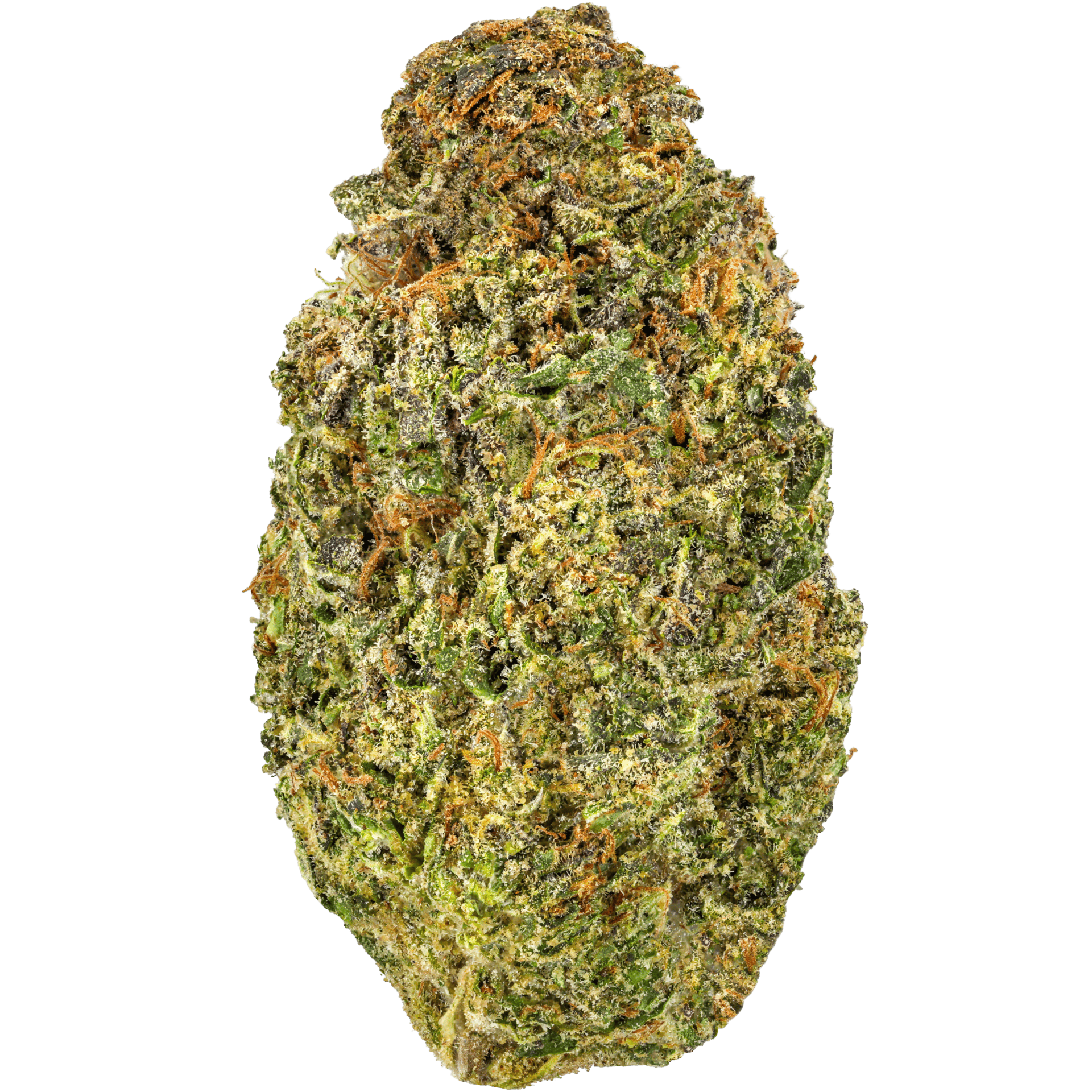 Gelato Fuel Strain