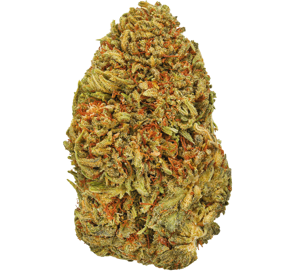 Gelato Strain