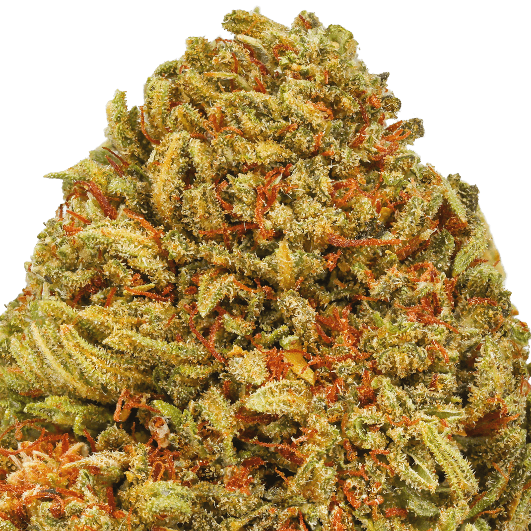 Gelato Strain