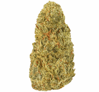 Grease Candy Strain
