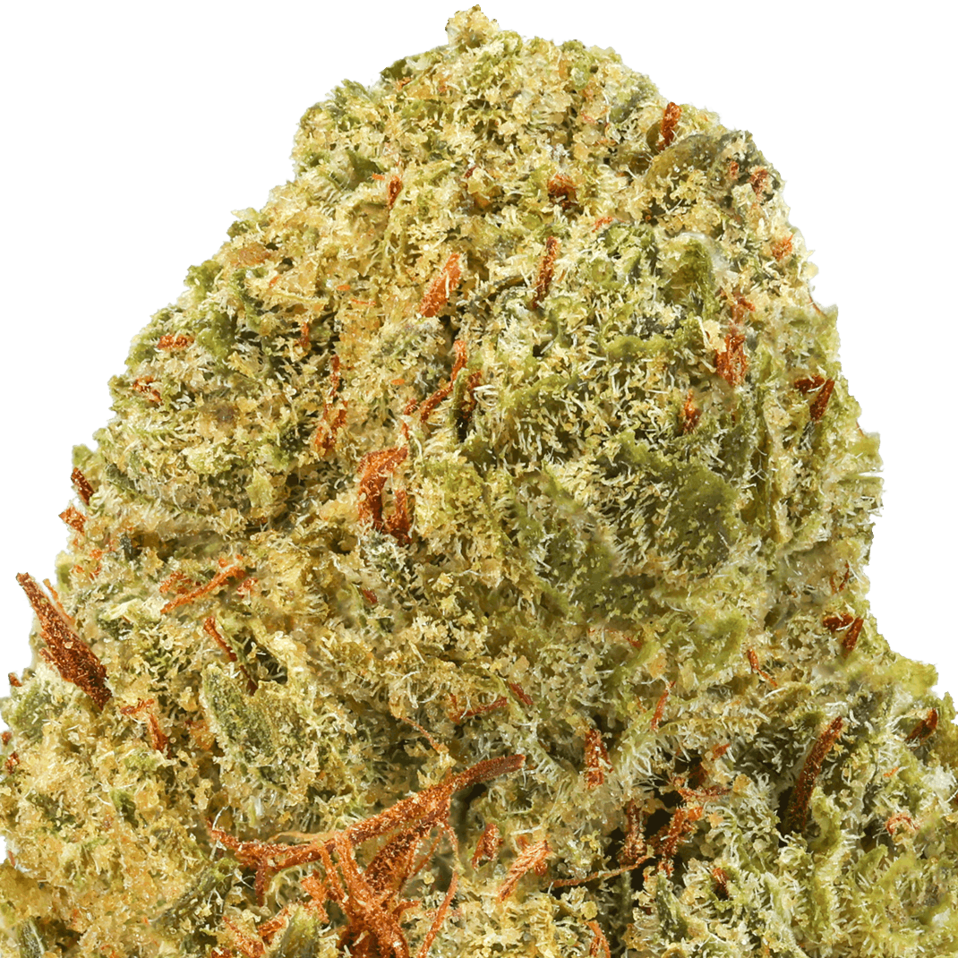 Grease Candy Strain