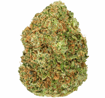 High Octane Strain