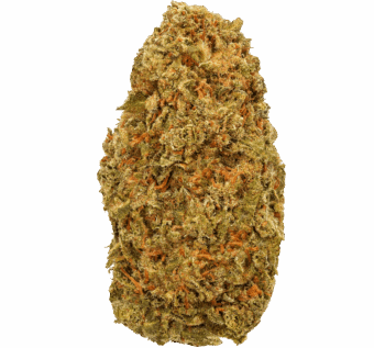 Ice Cream Cookies Strain