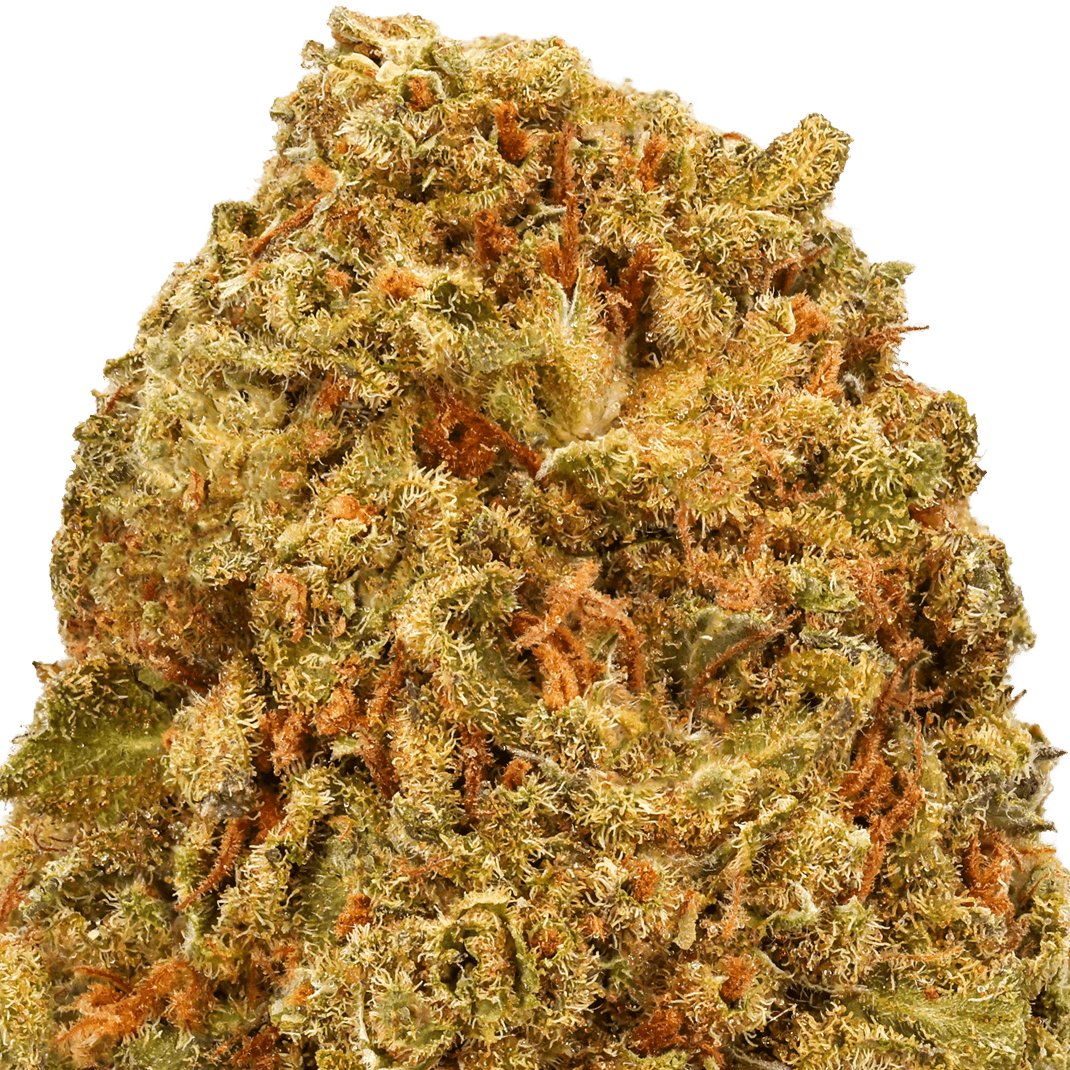 Ice Cream Cookies Strain