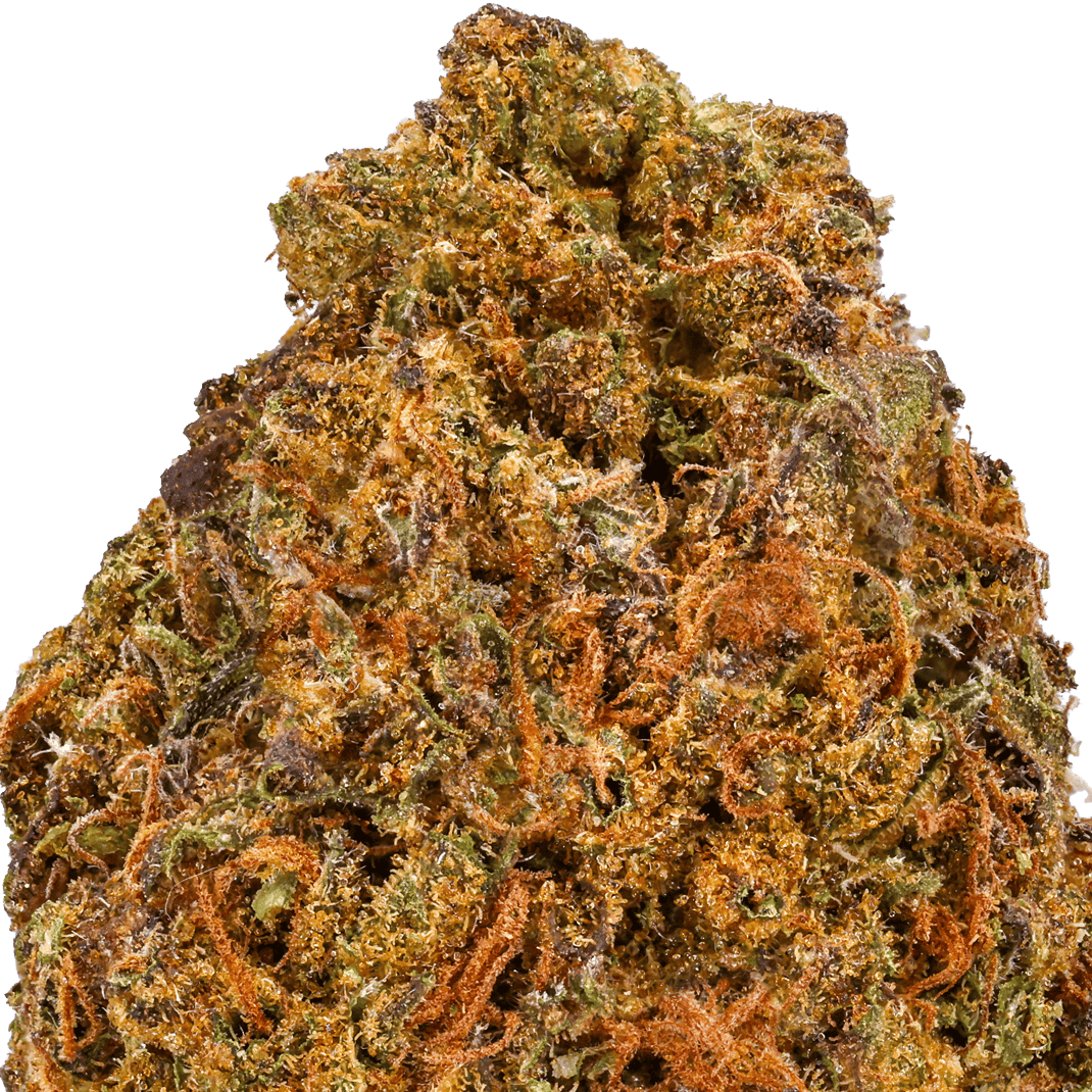 Ice-Cream-Cookies-Strain-macro Ice Cream Cookies Strain