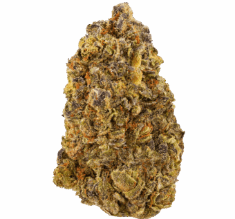Ice Cream Pie Strain