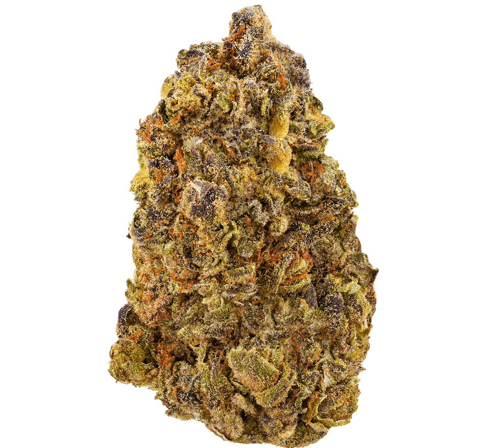 Ice Cream Pie Strain