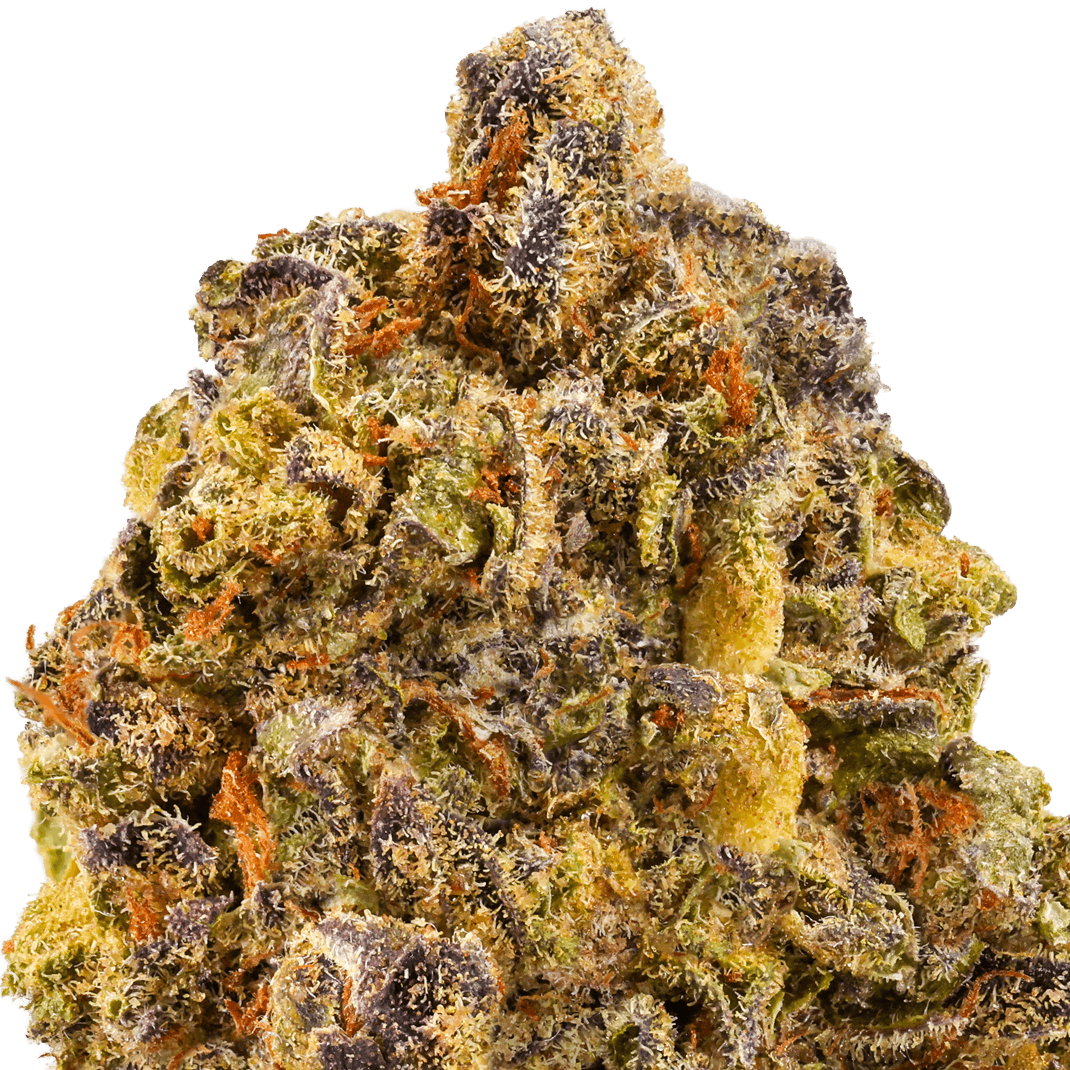 Ice Cream Pie Strain