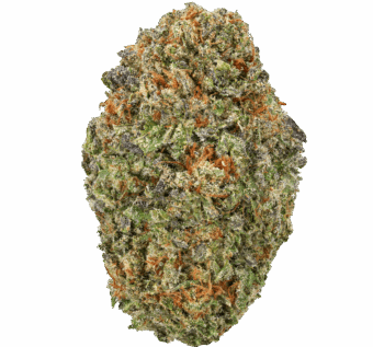 Illuminati Strain
