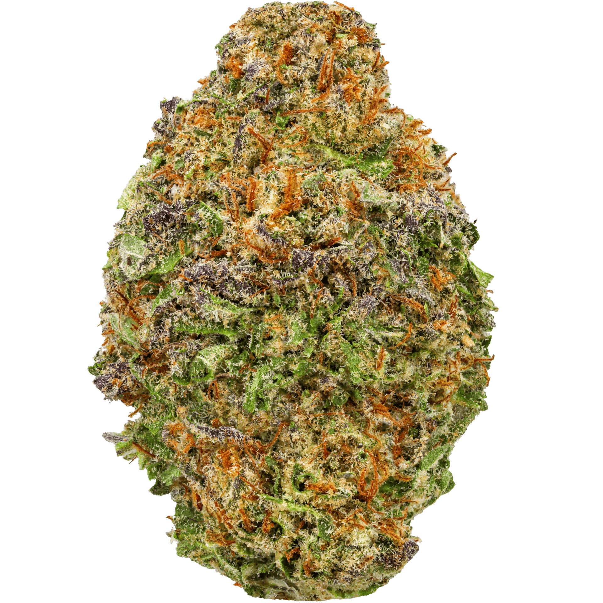 Illuminati Strain