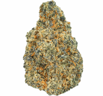 Italian Ice Strain