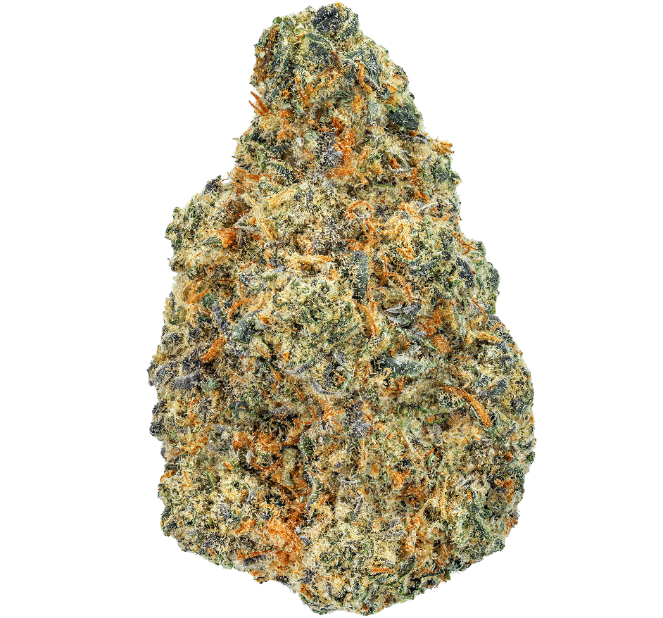 Italian-Ice-Strain (4) Italian Ice Strain