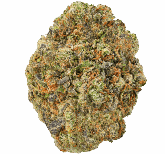 Lemon Cherry Strain
