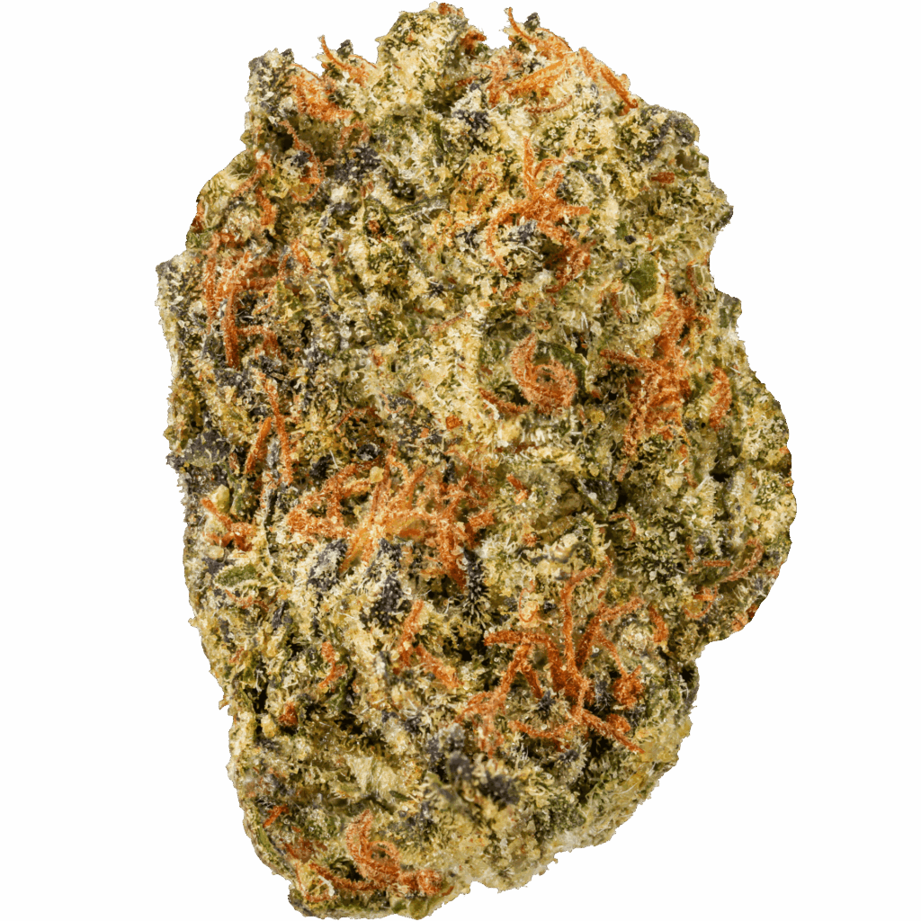 Lemon Drop Strain
