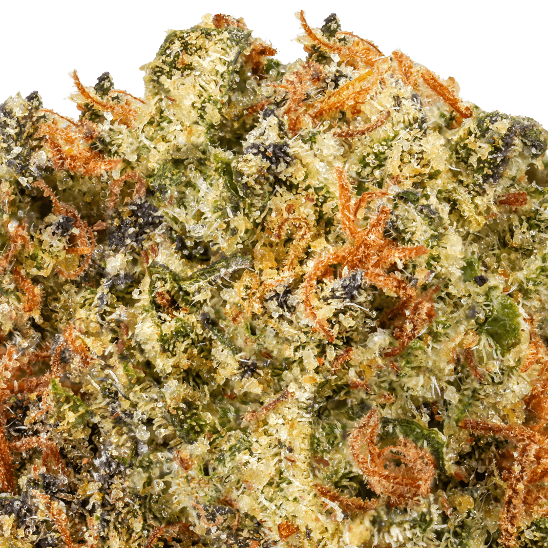 Lemon Drop Strain