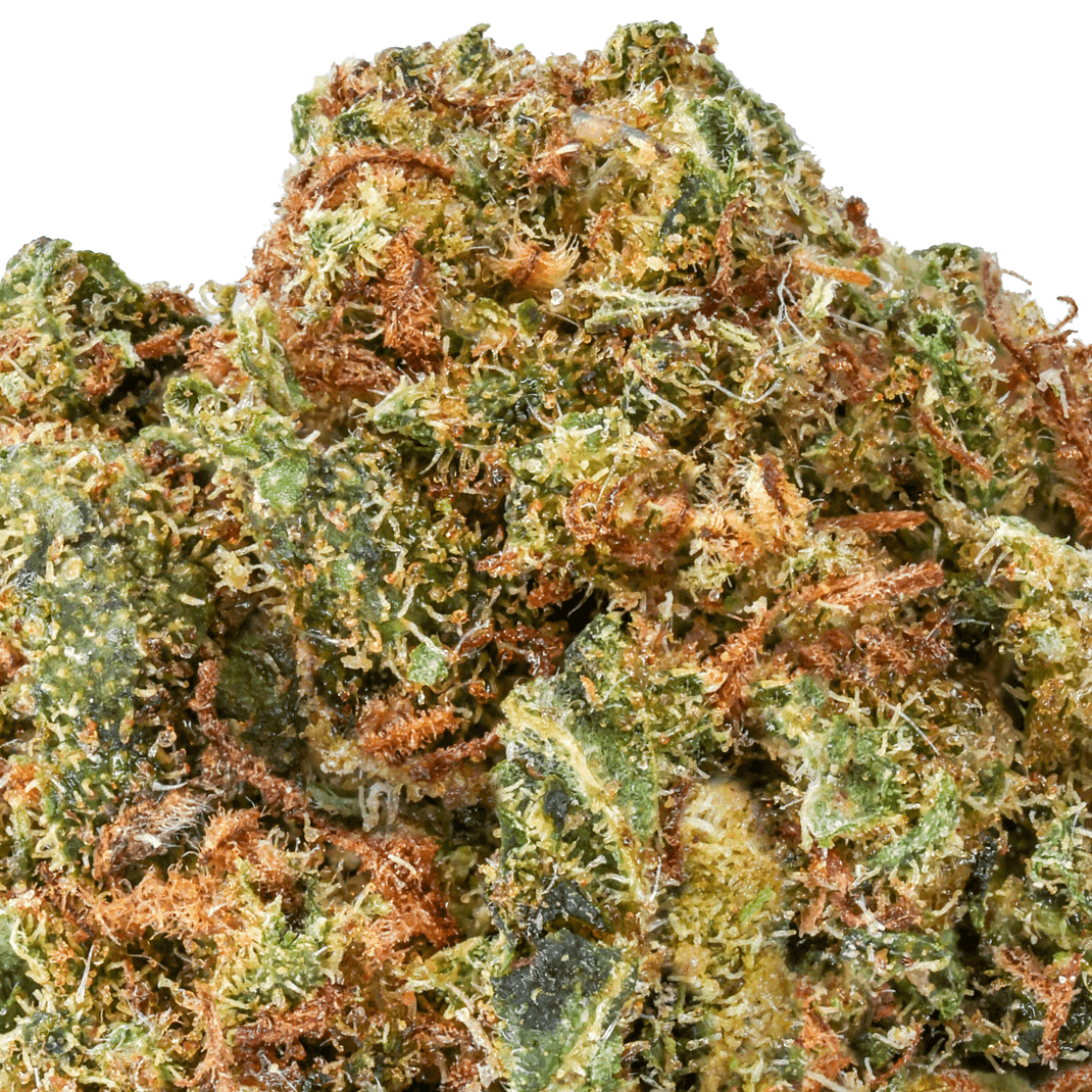 MAC 1 Strain