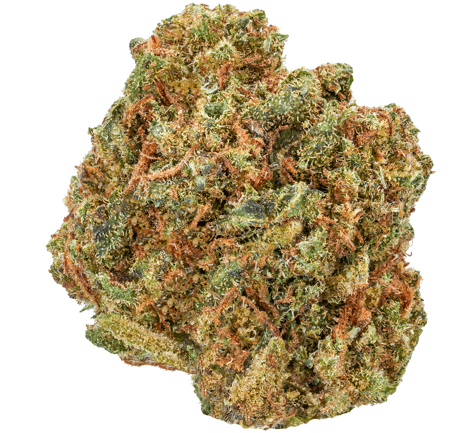 MAC 1 Strain