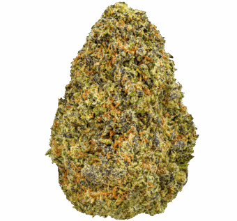 Mendo Breath Strain