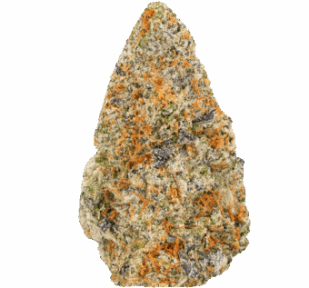 Northern Lights Strain