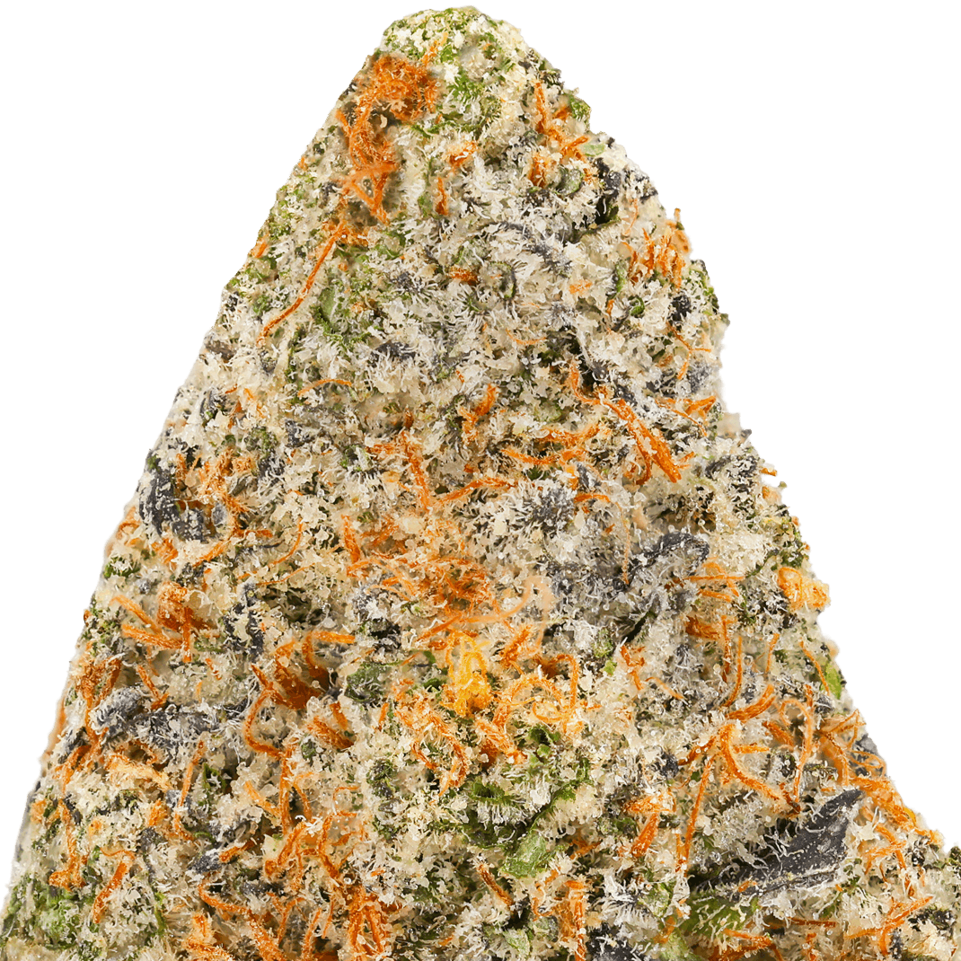 Northern Lights Strain