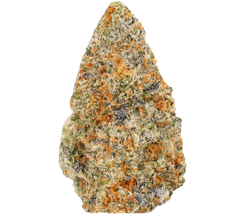 Northern Lights Strain