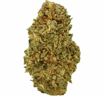 OG Kush Strain