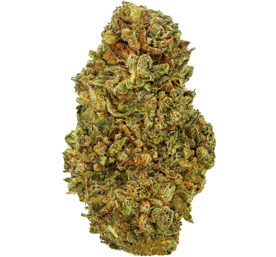 OG Kush Strain
