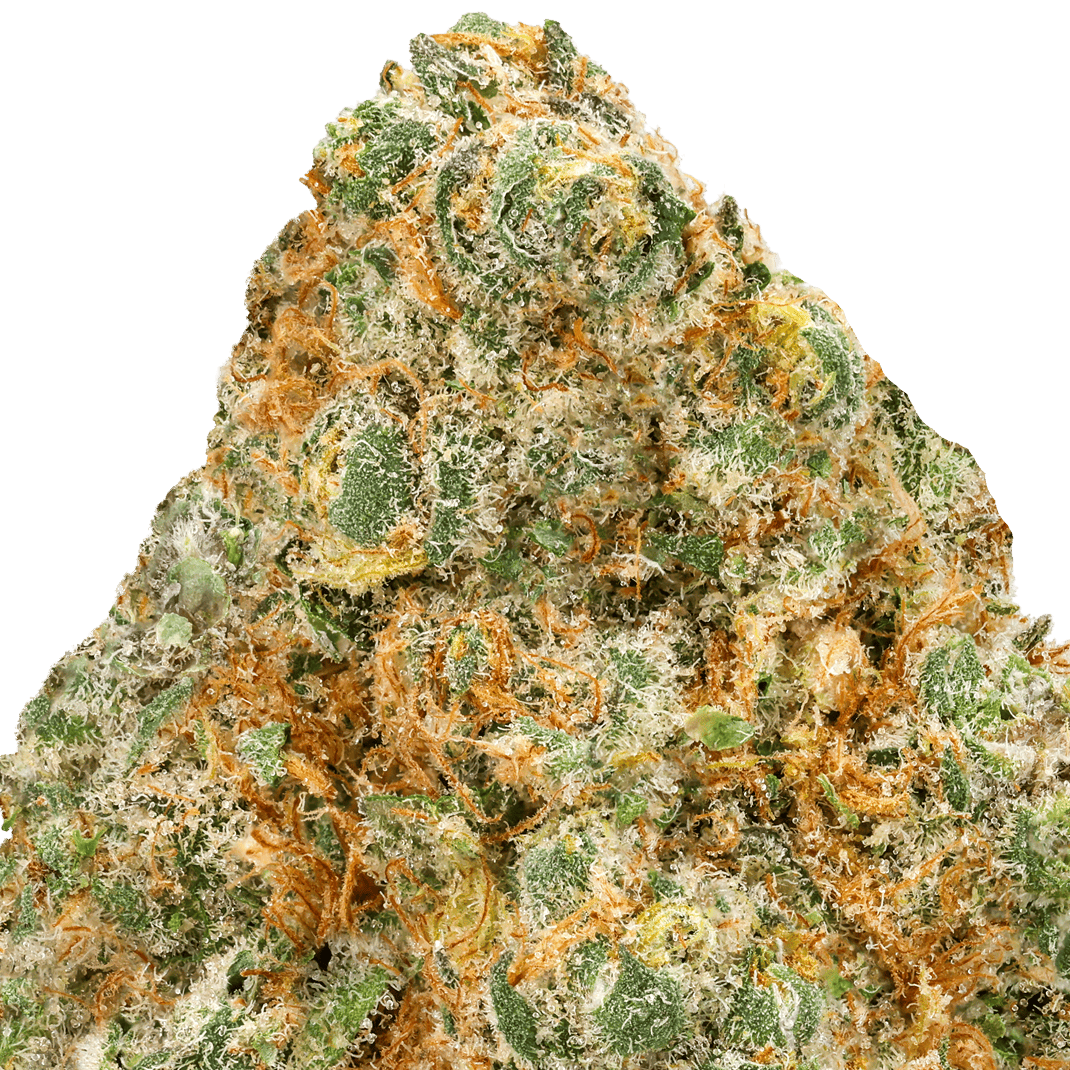 Orange Push Pop Strain