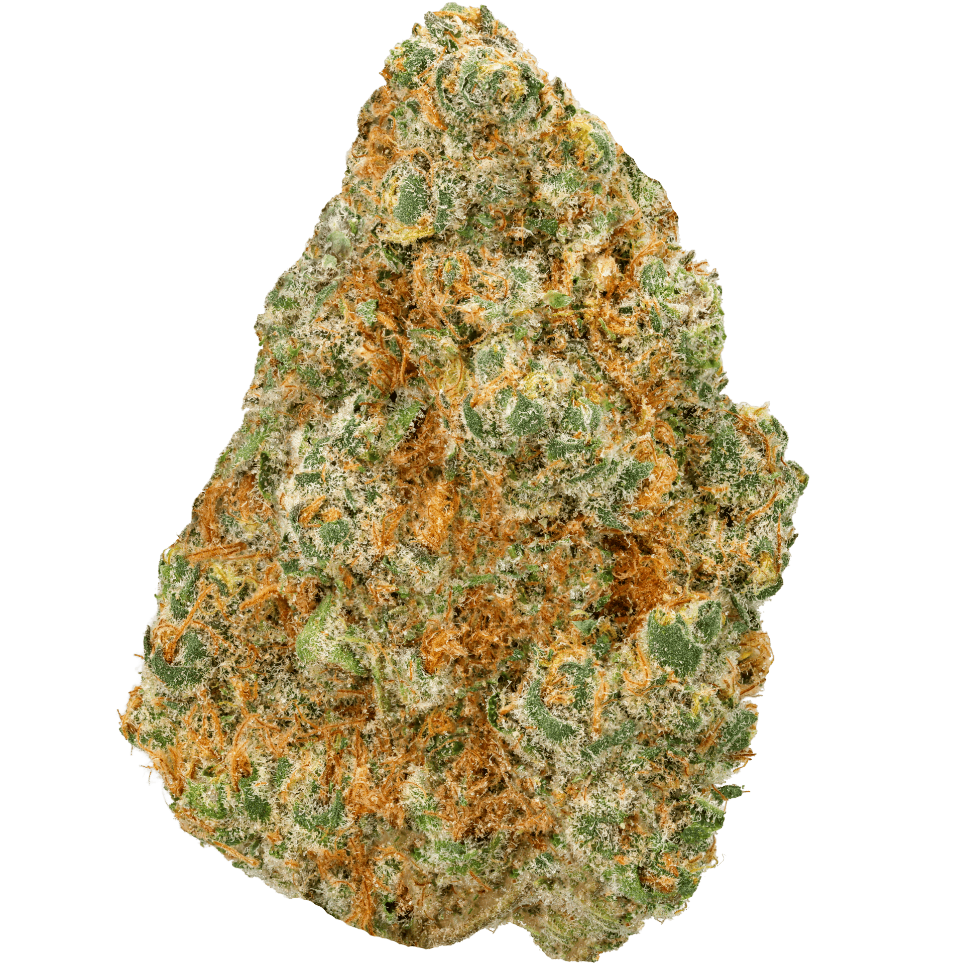 Orange Push Pop Strain