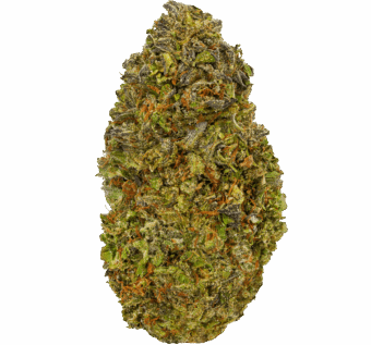 Papaya Strain