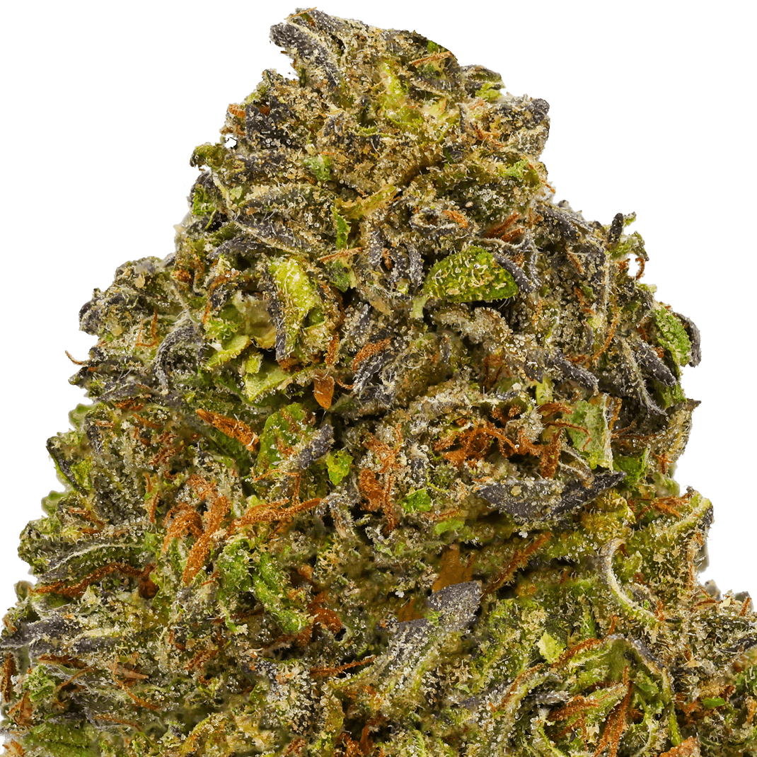 Papaya Strain