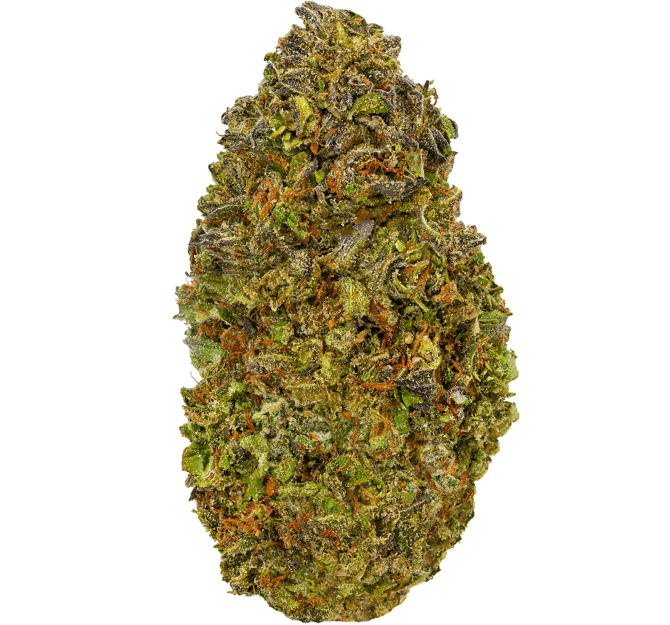 Papaya Strain