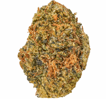 Purple Nebula Strain