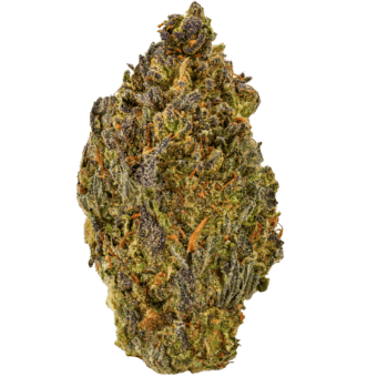 Sour Diesel Strain