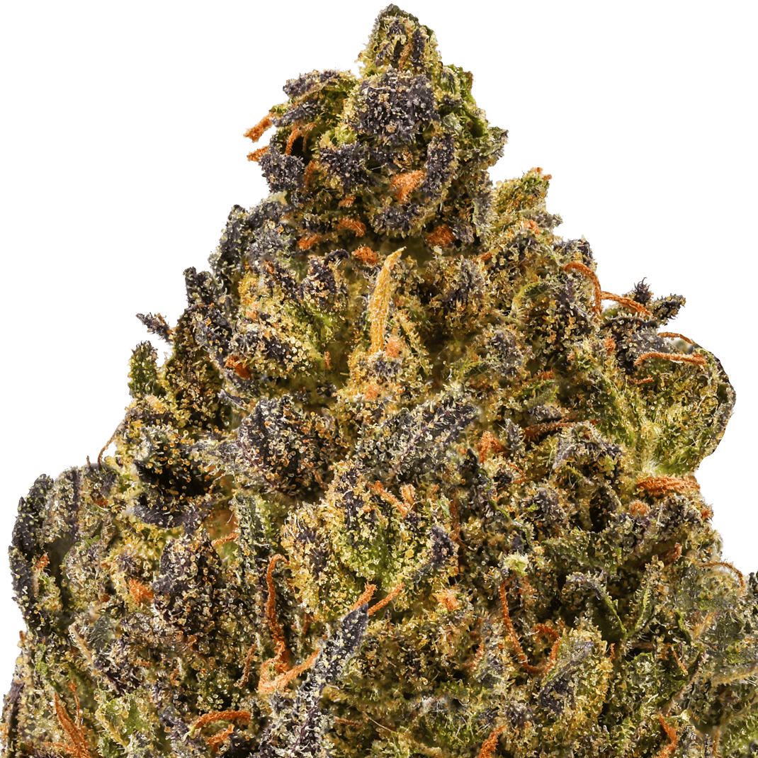 Sour Diesel Strain