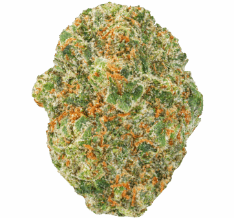 Strawpicana Strain