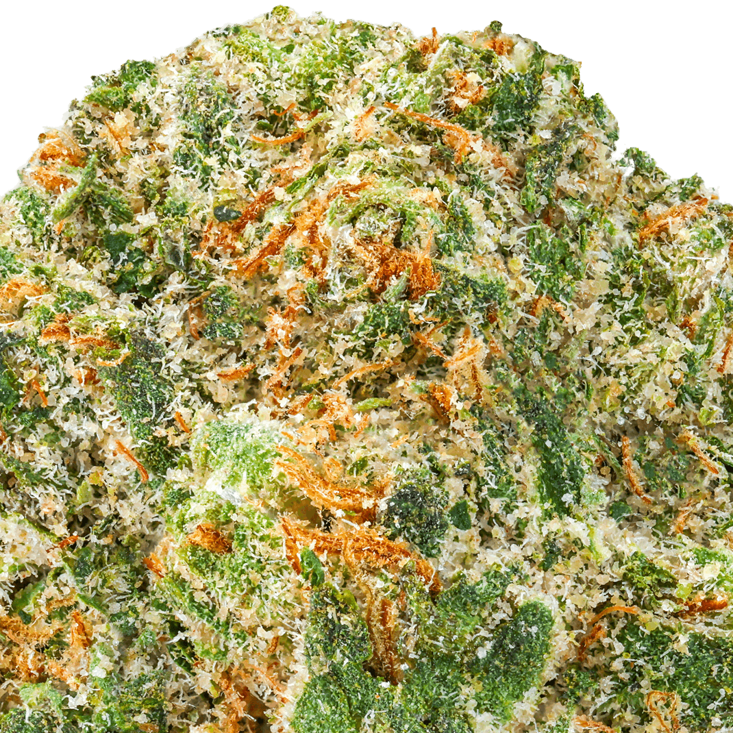 Strawpicana Strain