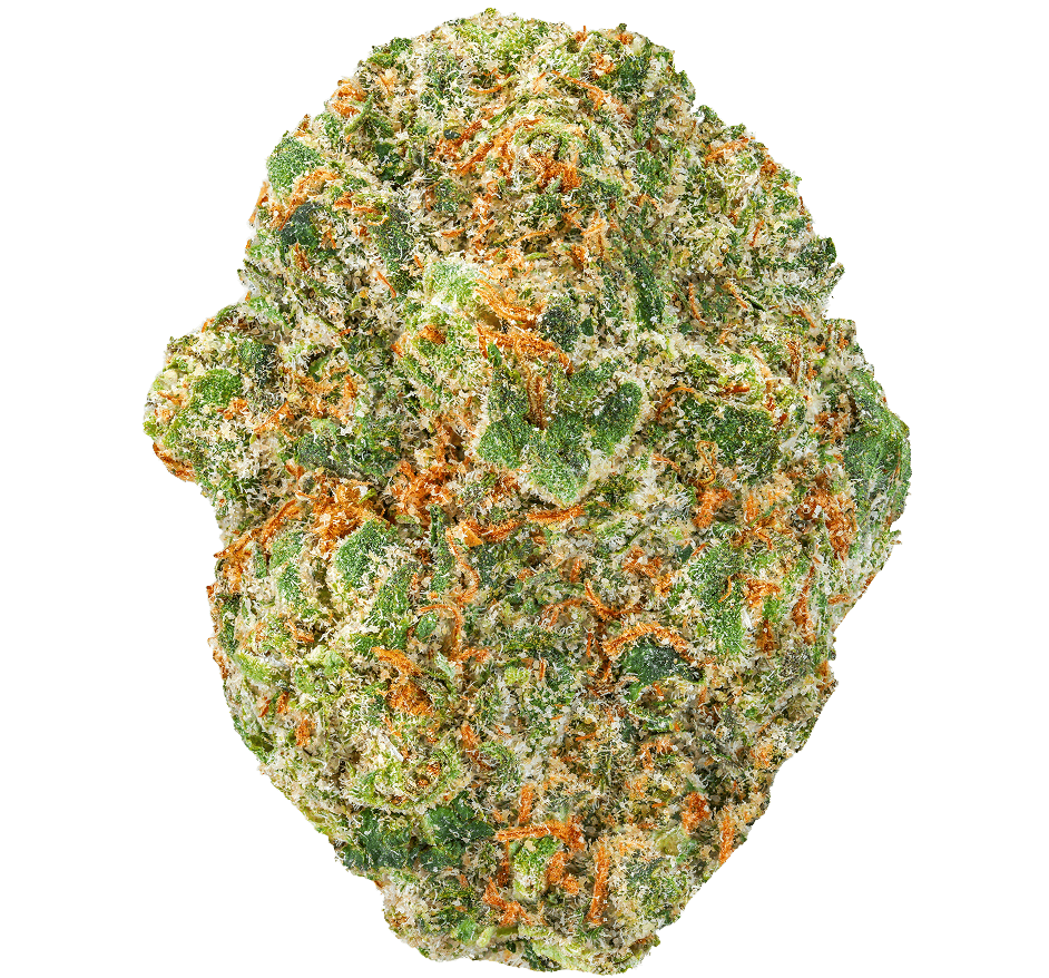 Strawpicana Strain