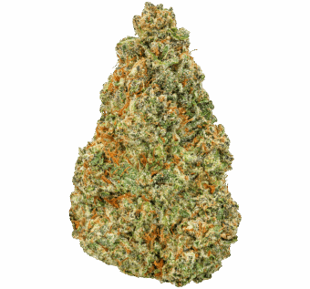 Tahoe OG Strain