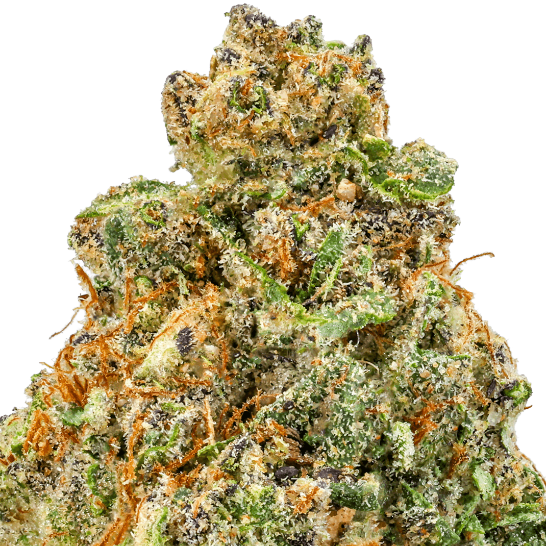 Tahoe OG Strain