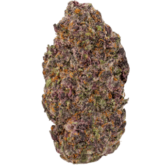 Trop Cherry Strain