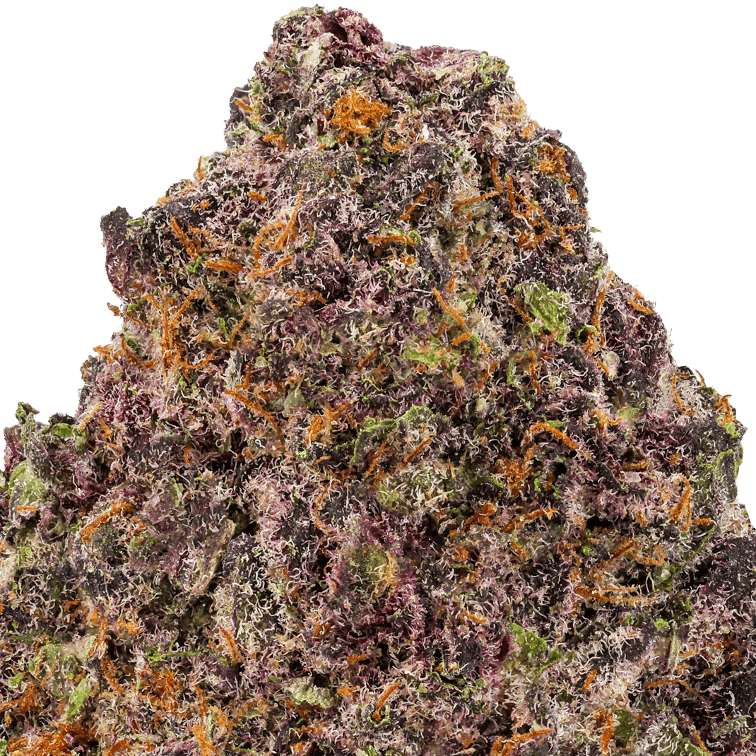 Trop Cherry Strain