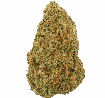 Wedding Crasher Strain